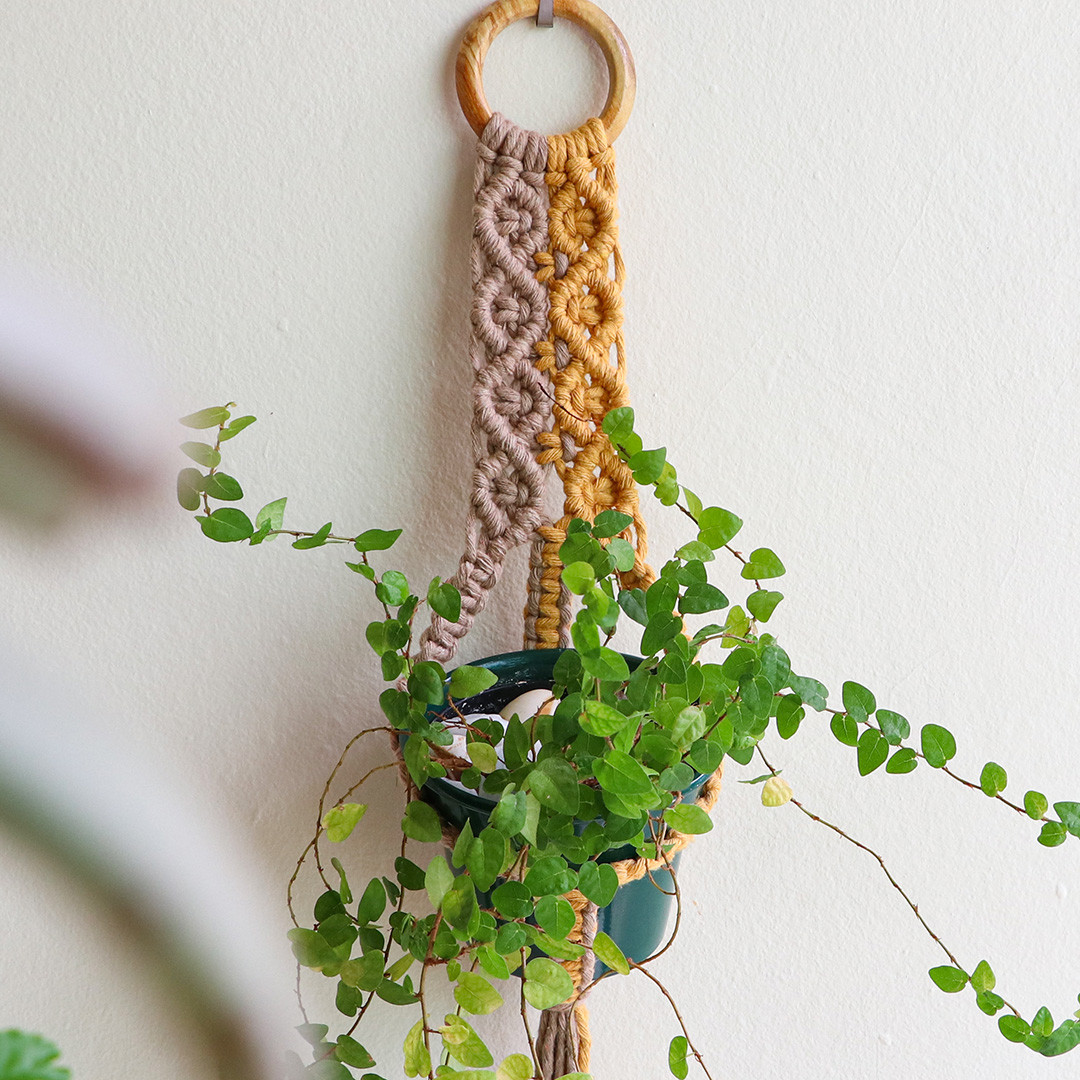 15.05 Suporte de vaso de parede em macrame tutorial passo a passo.jpg