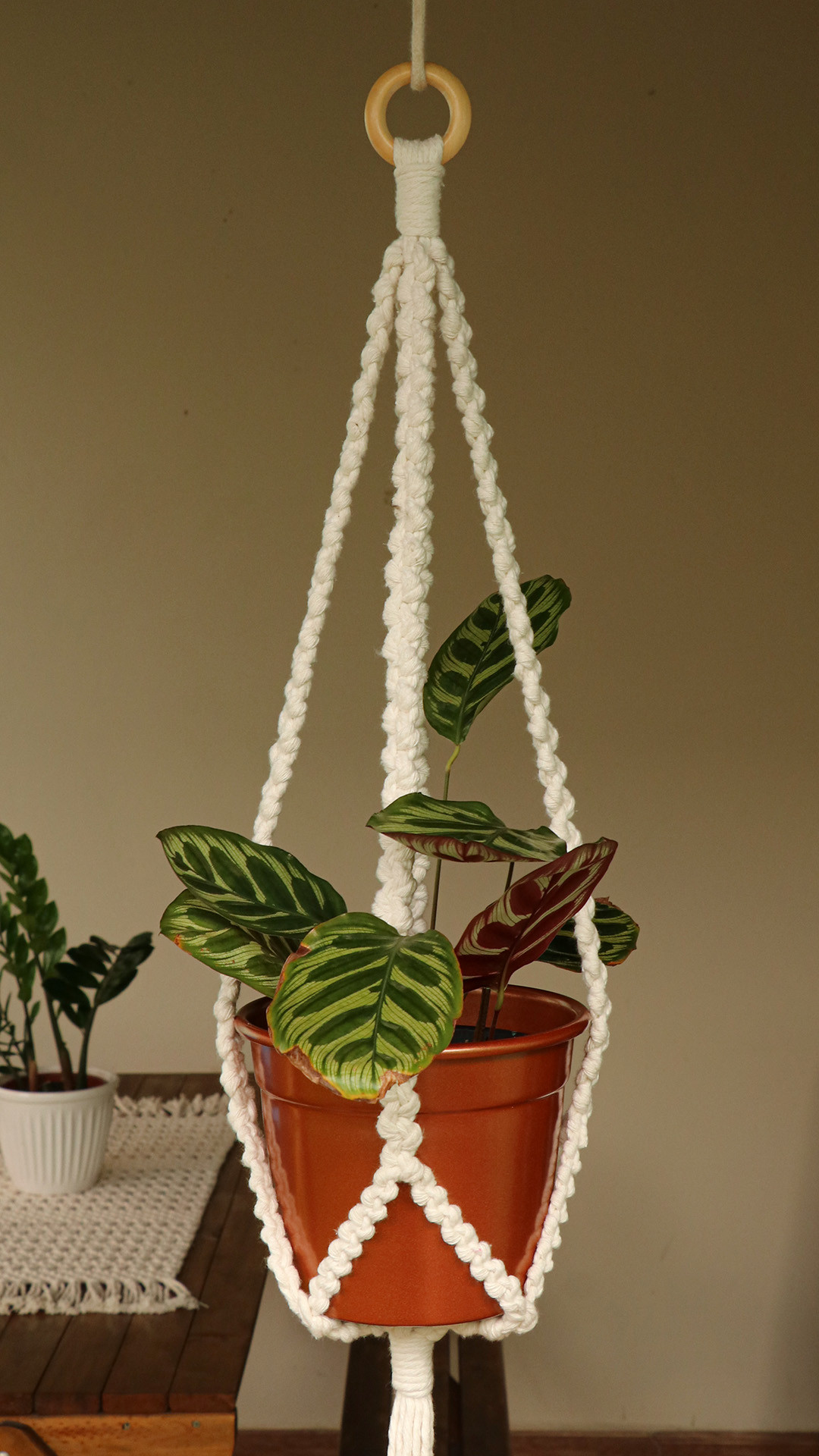 suporte para planta em macrame 2.jpg