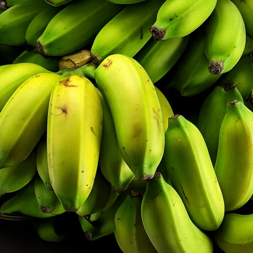Uma pilha vibrante de bananas verdes e amarelas em diferentes estágios de maturação. As frutas exibem uma cor verde intensa, com algumas já mostrando tons amarelos nas pontas, indicando frescor e qualidade natural. A textura suave das cascas e as pequenas