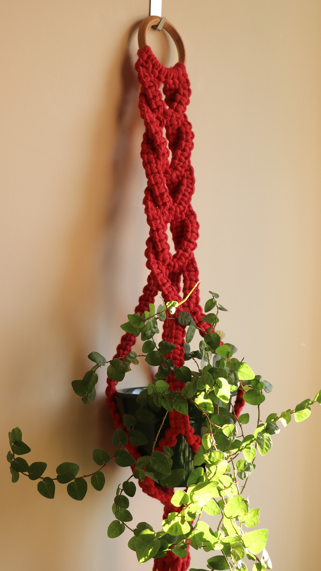 suporte para planta em macrame4.jpg