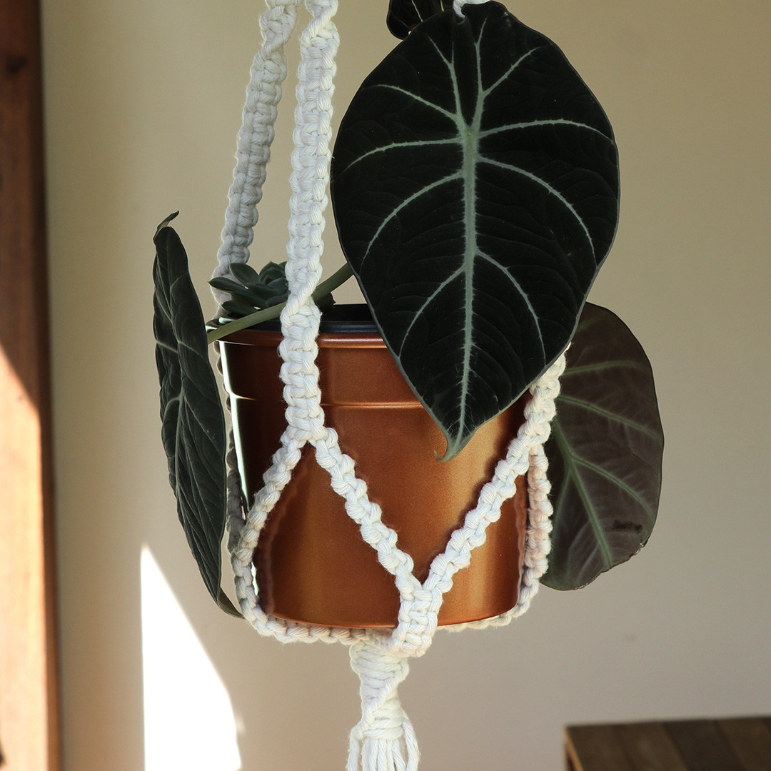 Suporte de vaso em macrame2.jpg