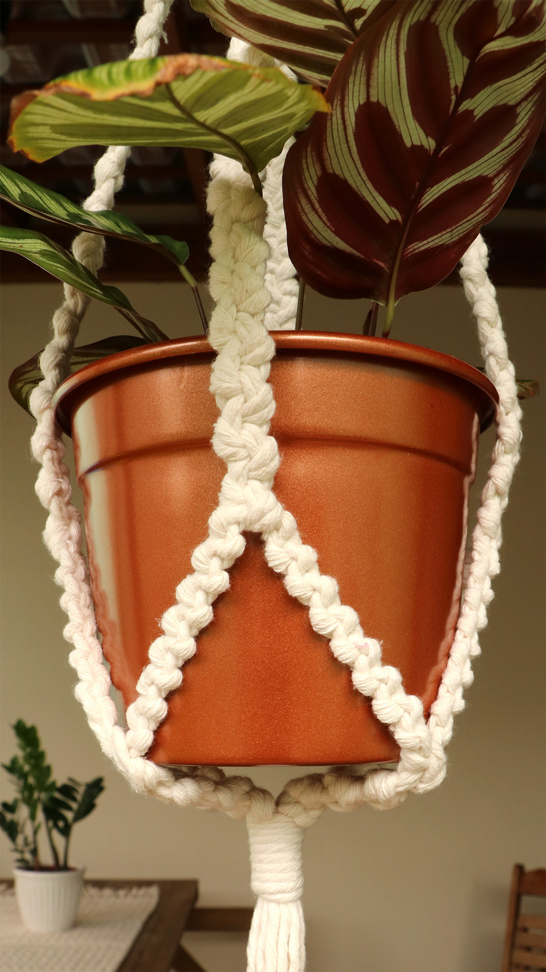 suporte para planta em macrame.jpg