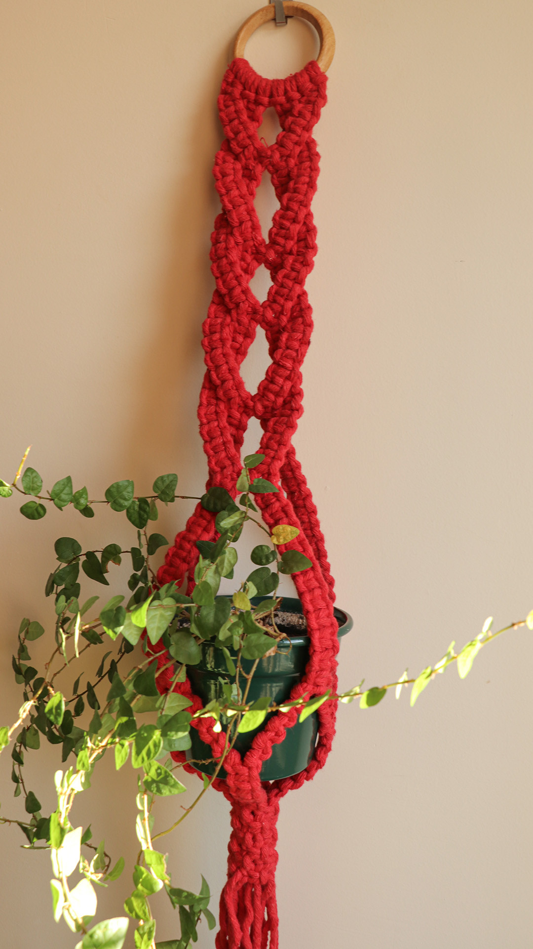 suporte para planta em macrame.jpg